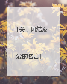 关于团结友爱的名言