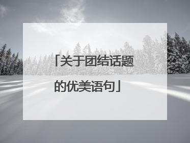 关于团结话题的优美语句