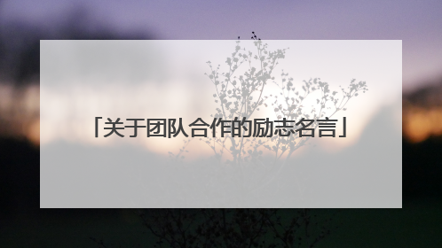 关于团队合作的励志名言