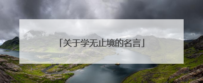 关于学无止境的名言