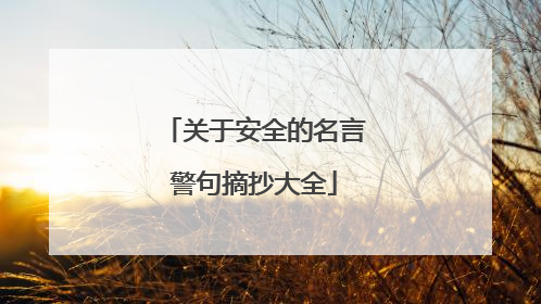 关于安全的名言警句摘抄大全