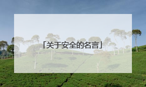 关于安全的名言