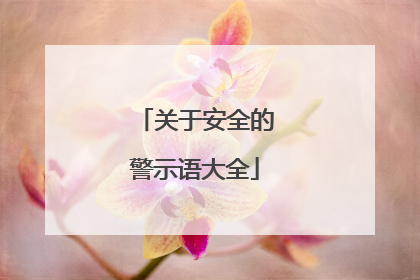 关于安全的警示语大全