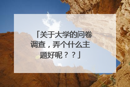 关于大学的问卷调查，弄个什么主题好呢？？