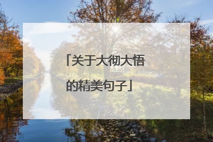 关于大彻大悟的精美句子