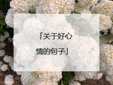 关于好心情的句子