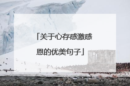 关于心存感激感恩的优美句子