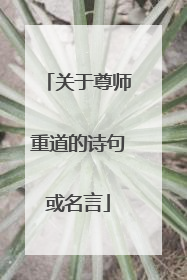 关于尊师重道的诗句或名言
