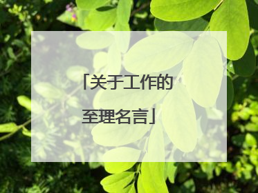 关于工作的至理名言