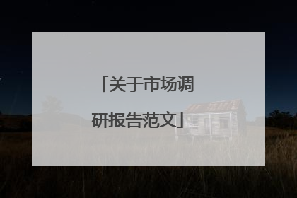 关于市场调研报告范文