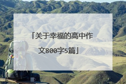 关于幸福的高中作文800字5篇