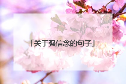 关于强信念的句子