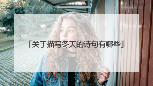 关于描写冬天的诗句有哪些