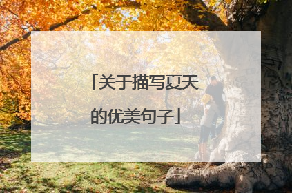 关于描写夏天的优美句子