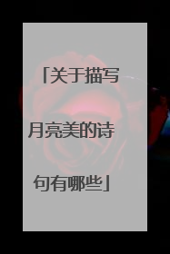 关于描写月亮美的诗句有哪些