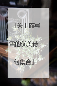 关于描写雪的优美诗句集合