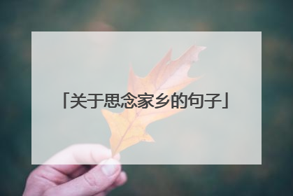 关于思念家乡的句子