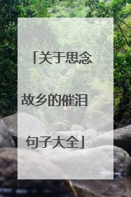 关于思念故乡的催泪句子大全