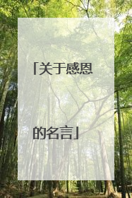 关于感恩的名言