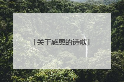 关于感恩的诗歌