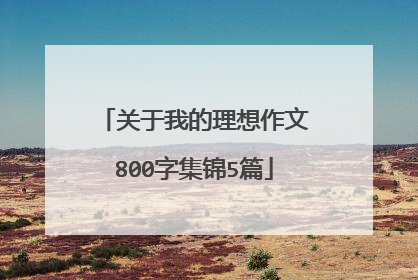 关于我的理想作文800字集锦5篇
