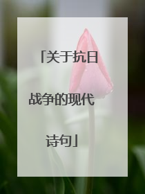 关于抗日战争的现代诗句