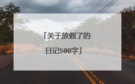 关于放假了的日记500字