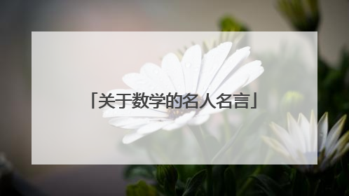 关于数学的名人名言