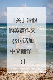 关于暑假的英语作文(5句话加中文翻译 )