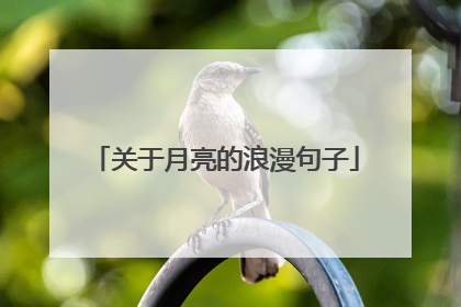 关于月亮的浪漫句子