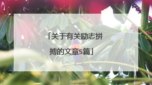 关于有关励志拼搏的文章5篇