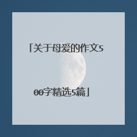 关于母爱的作文500字精选5篇