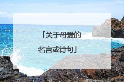 关于母爱的名言或诗句