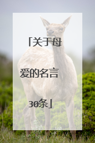 关于母爱的名言30条
