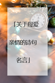 关于母爱亲情的诗句名言