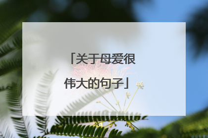 关于母爱很伟大的句子
