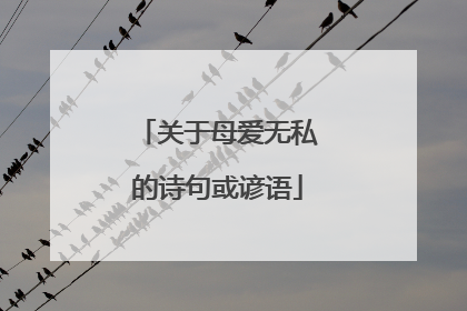 关于母爱无私的诗句或谚语