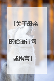 关于母亲的俗语诗句或格言