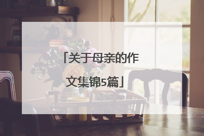 关于母亲的作文集锦5篇