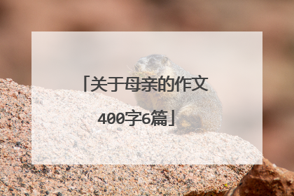 关于母亲的作文400字6篇