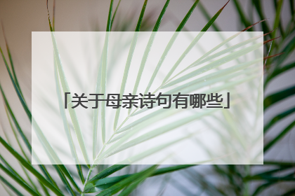关于母亲诗句有哪些