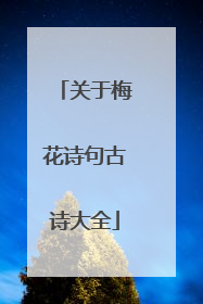 关于梅花诗句古诗大全