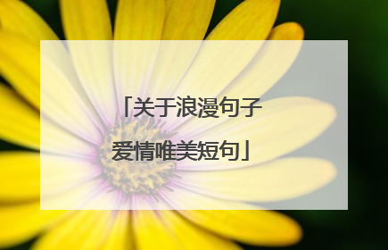关于浪漫句子爱情唯美短句