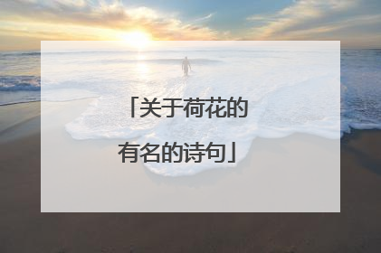 关于荷花的有名的诗句