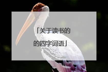 关于读书的的四字词语
