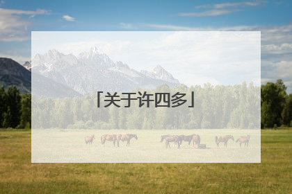 关于许四多