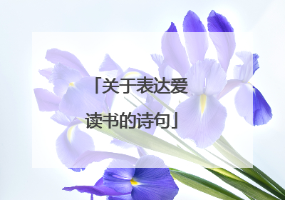 关于表达爱读书的诗句