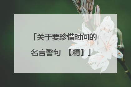 关于要珍惜时间的名言警句 【精】