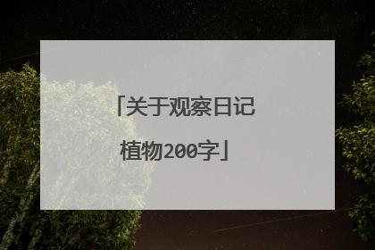 关于观察日记植物200字
