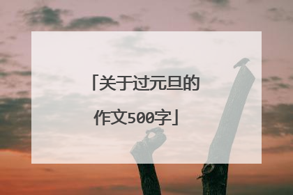 关于过元旦的作文500字